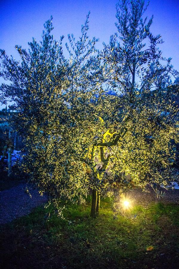 Montepulciano Stazione Agriturismo I Roseti מראה חיצוני תמונה