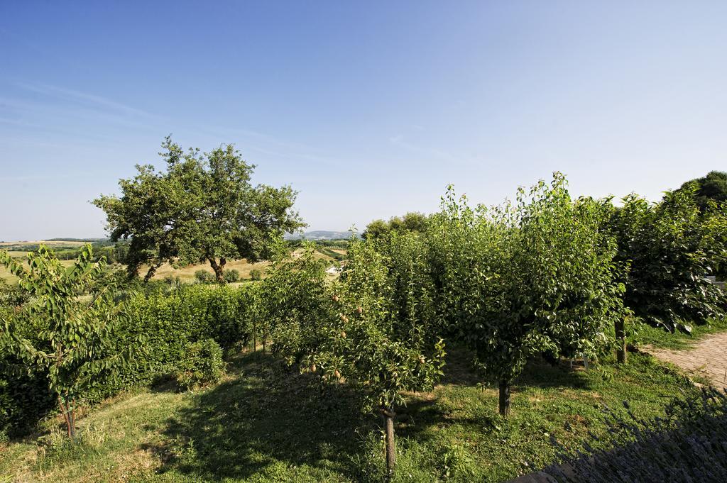 Montepulciano Stazione Agriturismo I Roseti חדר תמונה