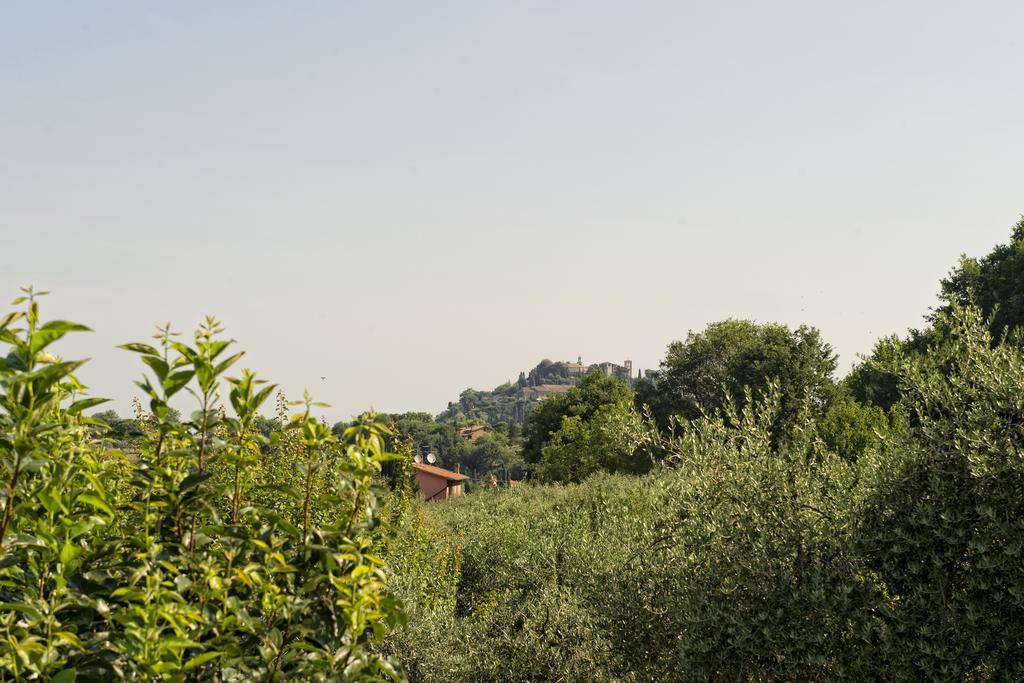 Montepulciano Stazione Agriturismo I Roseti חדר תמונה