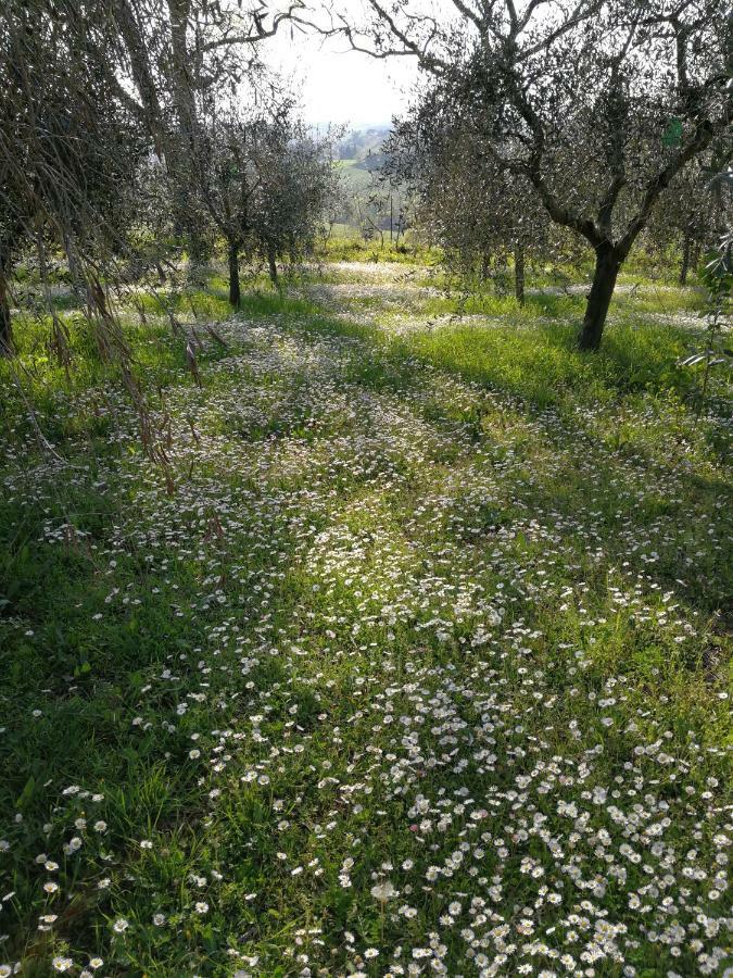 Montepulciano Stazione Agriturismo I Roseti מראה חיצוני תמונה